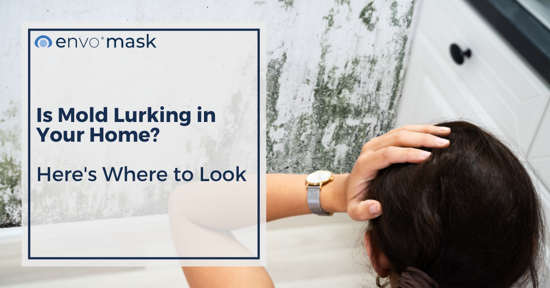 Is Mold Lurking in Your Home? Here's Where to Look